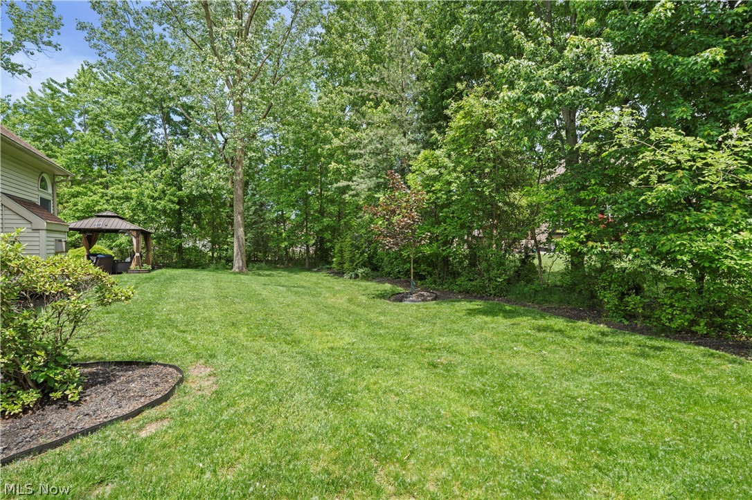 32194 Teasel Court Avon Lake OH 44012