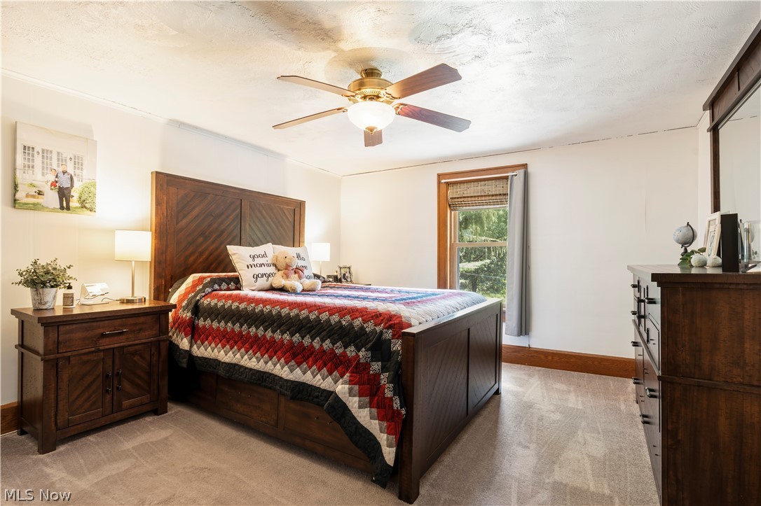 511 Milton Avenue Wilmot OH 44608