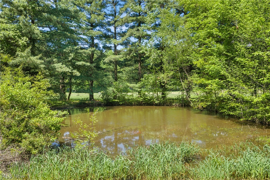 568 W Nimisila Road Akron OH 44319