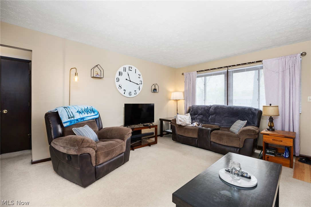 14172 & 14174 Hametown Road Doylestown OH 44230
