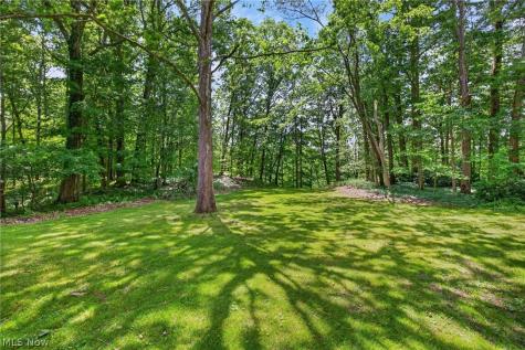 3866 Woodthrush Road Akron OH 44333