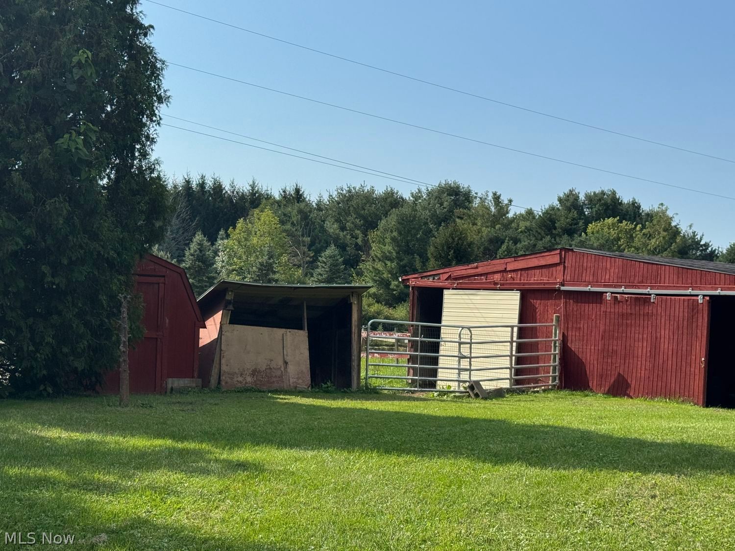 7950 Coon Club Road Medina OH 44256