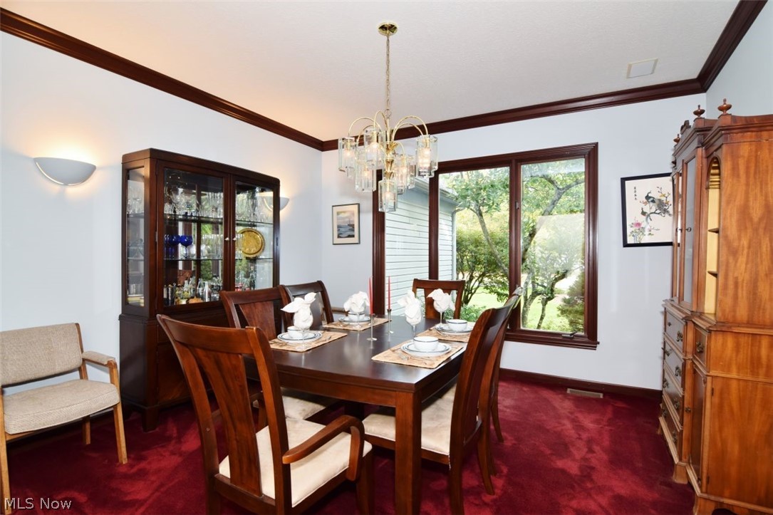 9205 Wilderness Passage Trail Chagrin Falls OH 44023