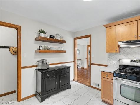 241 Lownsdale Avenue Akron OH 44313
