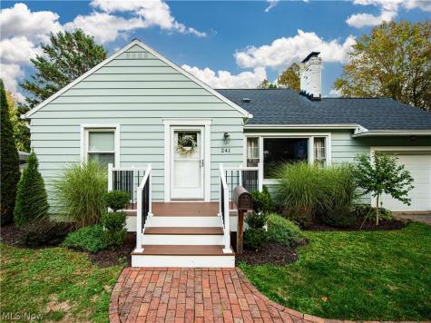 241 Lownsdale Avenue Akron OH 44313