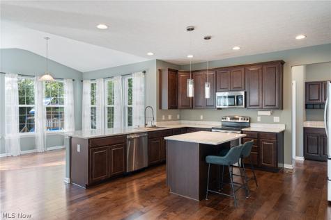 32825 Rebecca Lane Avon Lake OH 44012