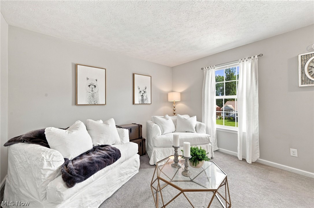 8740 Summer Wind Lane Mentor OH 44060