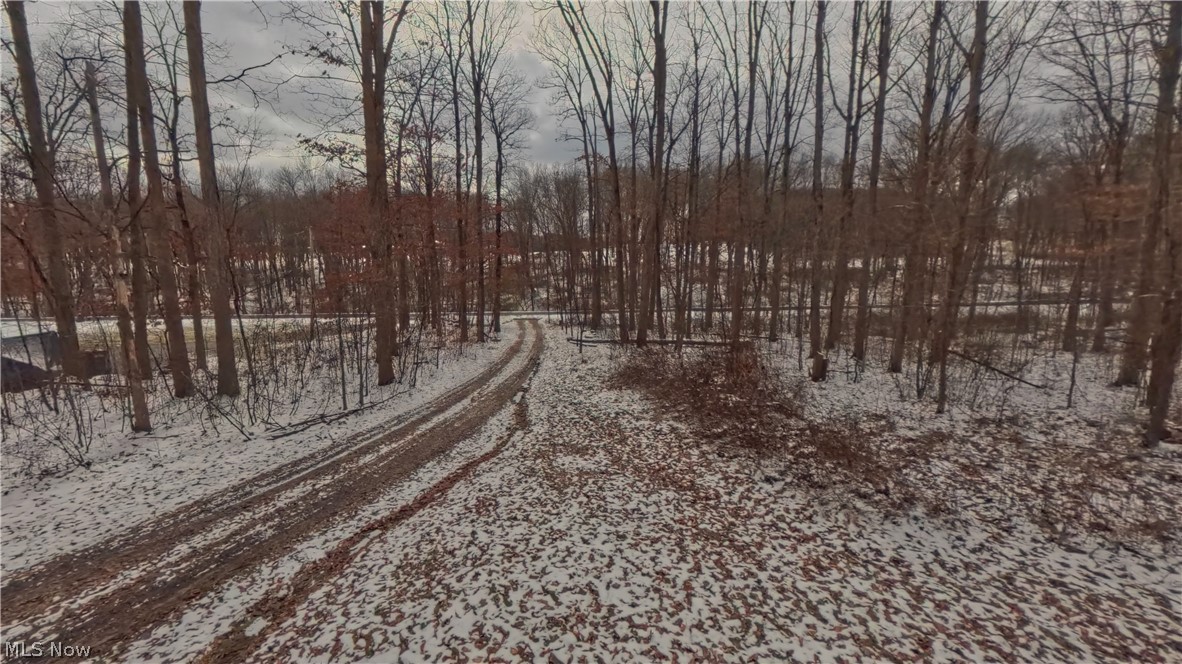 48276 Dyke Road Negley OH 44441
