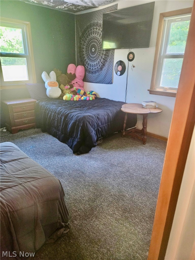 10481 Briar Hill Drive Kirtland OH 44094