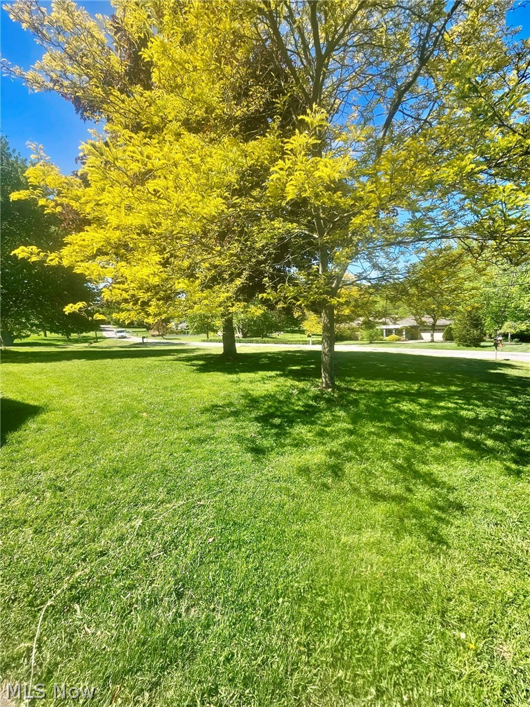 10481 Briar Hill Drive Kirtland OH 44094