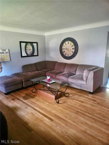 Briar Hill Drive Kirtland OH 44094