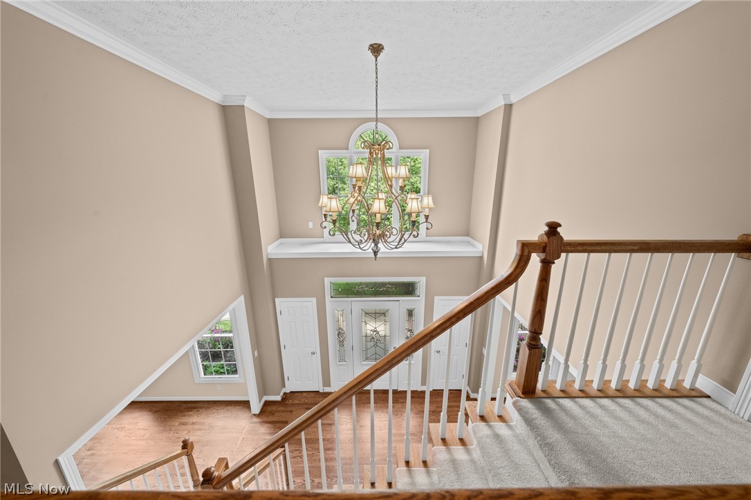 7442 Worlington Drive Solon OH 44139