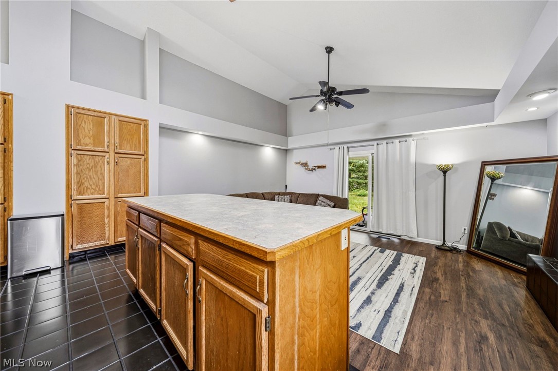 3903 Laurel Road Brunswick OH 44212
