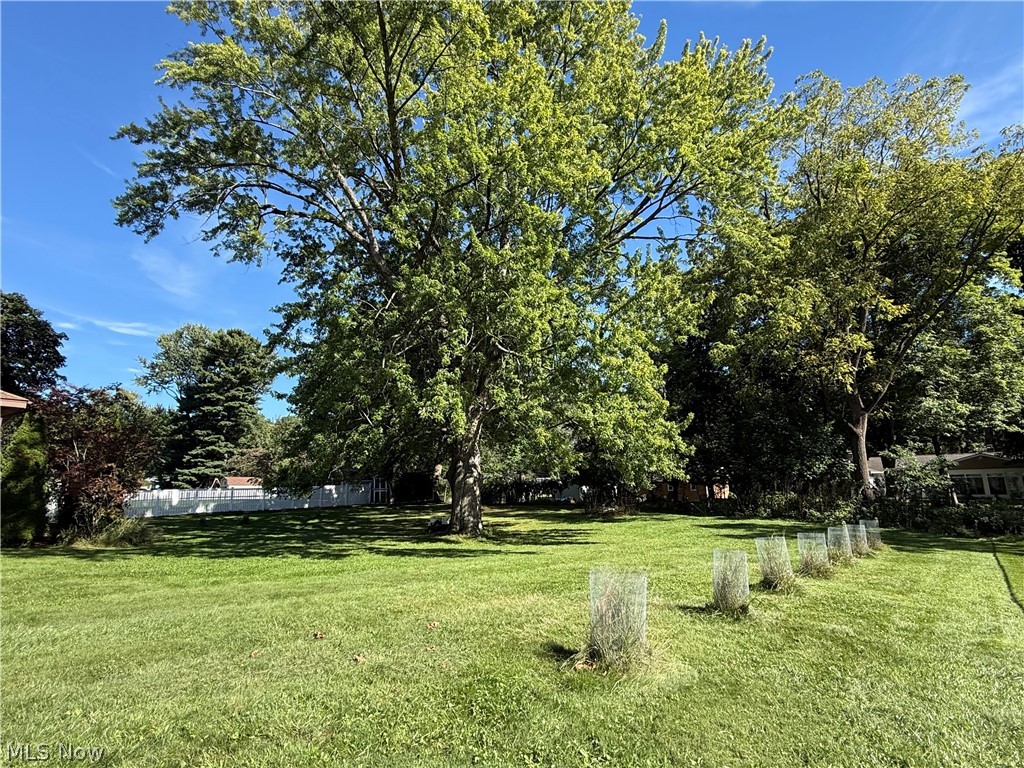 556 Clark Drive Tallmadge OH 44278