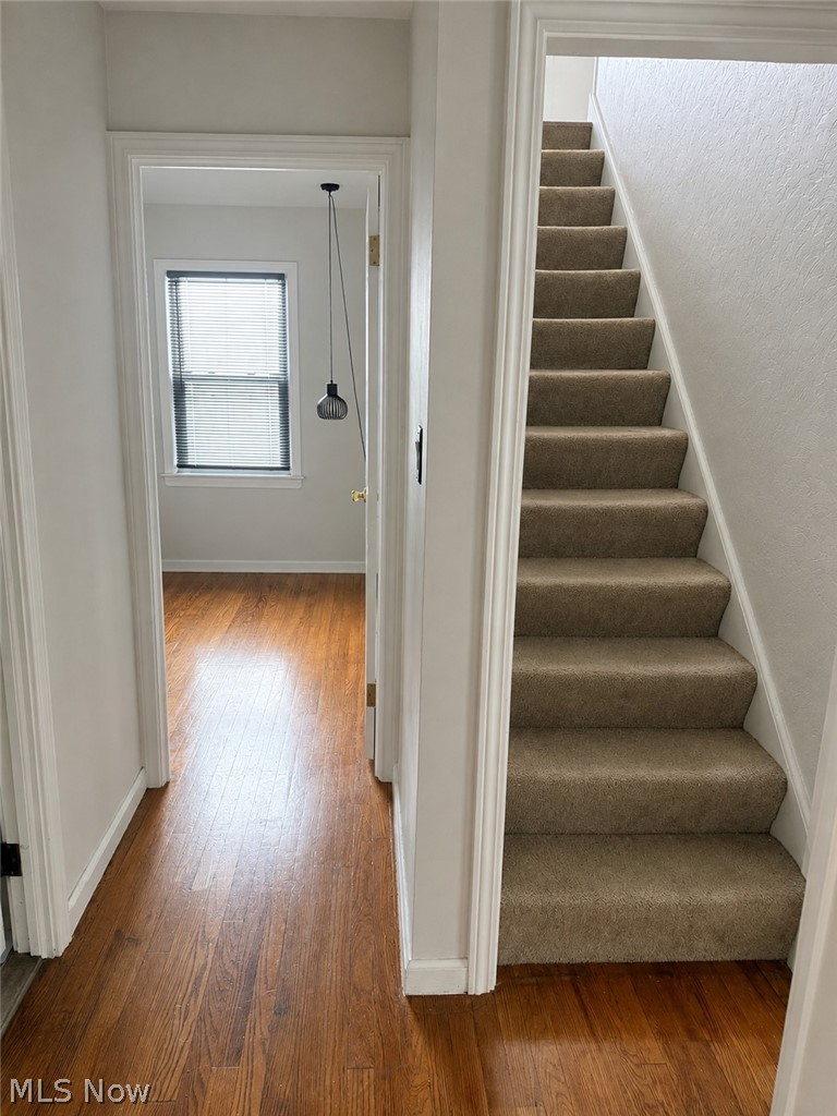 1382 Sunset Road Mayfield Heights OH 44124