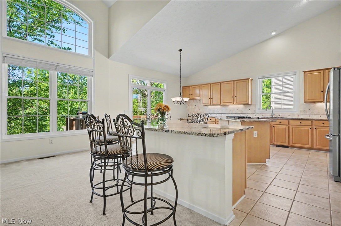 975 W Parkway Boulevard Aurora OH 44202