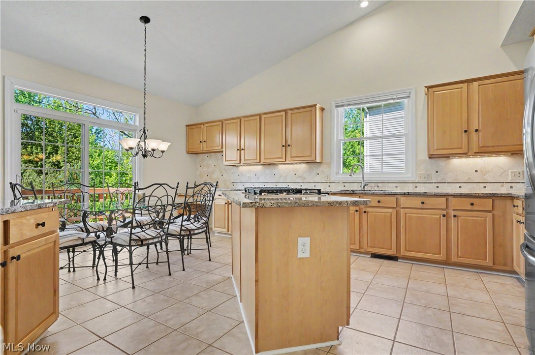975 W Parkway Boulevard Aurora OH 44202