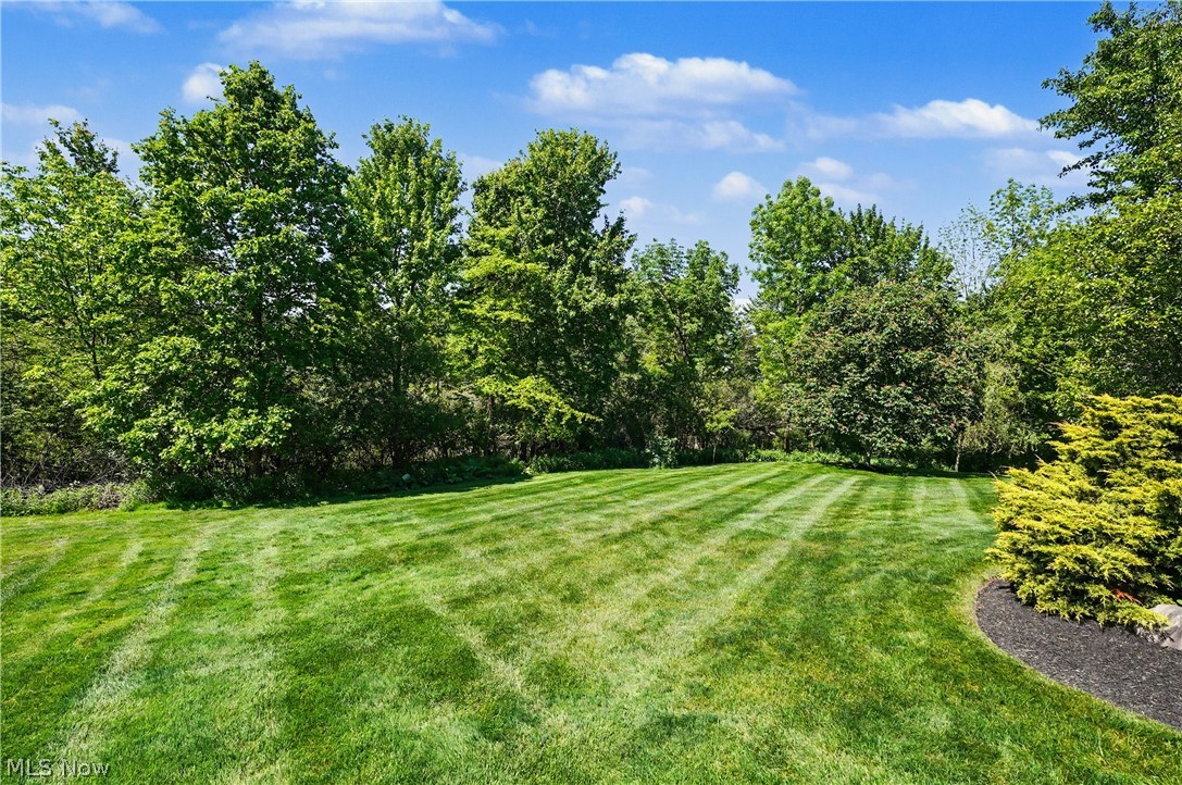 975 W Parkway Boulevard Aurora OH 44202