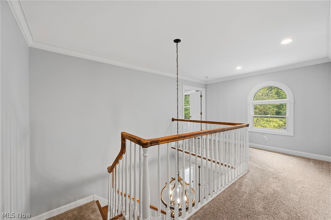 3536 Longwood Drive Medina OH 44256