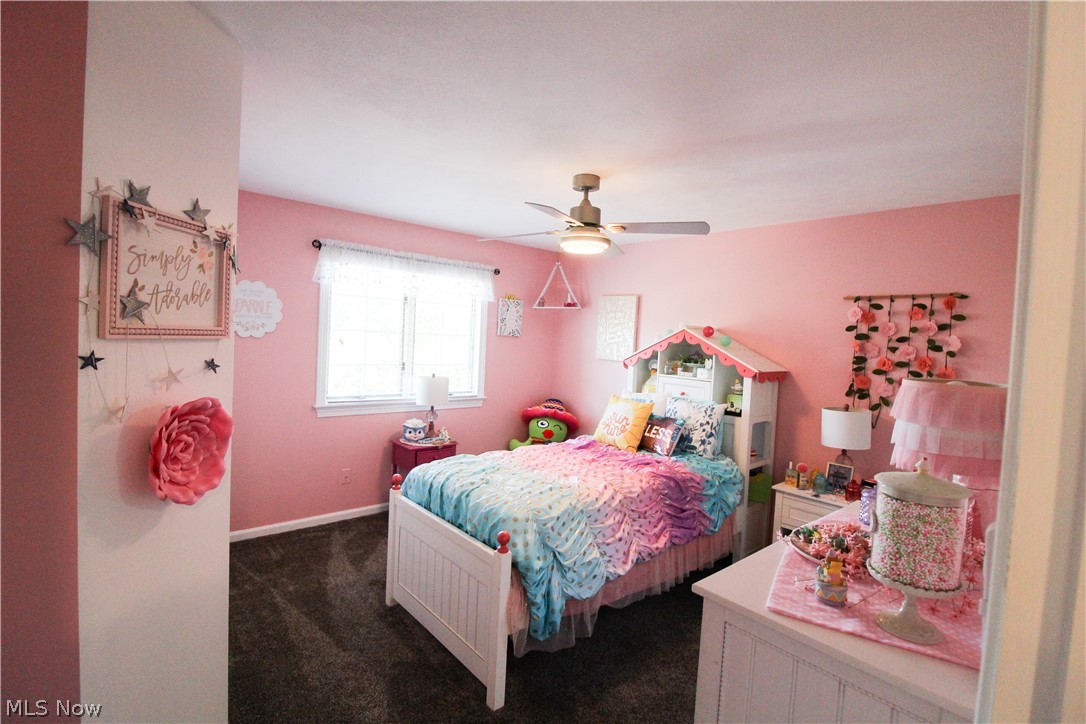 262 Topaz Circle Canfield OH 44406