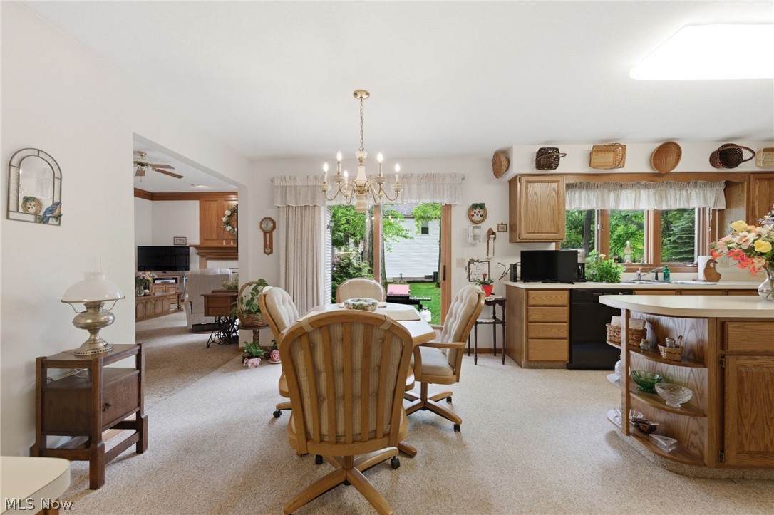 359 Williamsburg Drive Avon Lake OH 44012