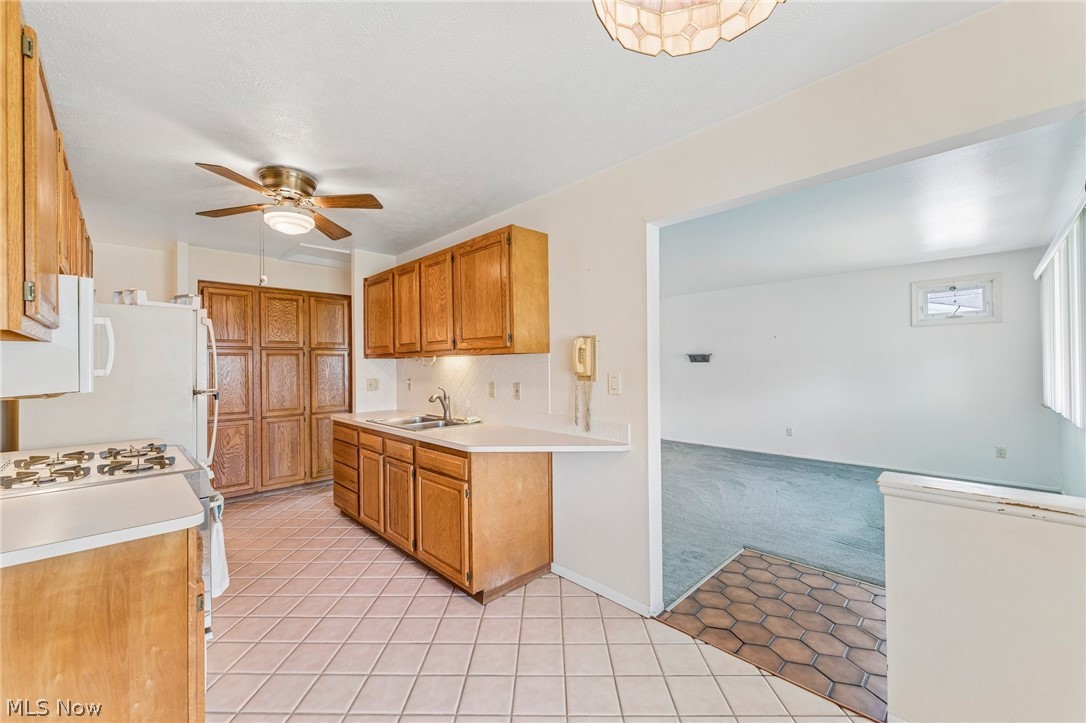 1829 Eldon Drive Wickliffe OH 44092