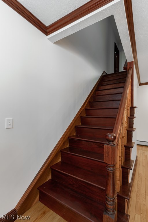 7377 Pontius Street NE Hartville OH 44632