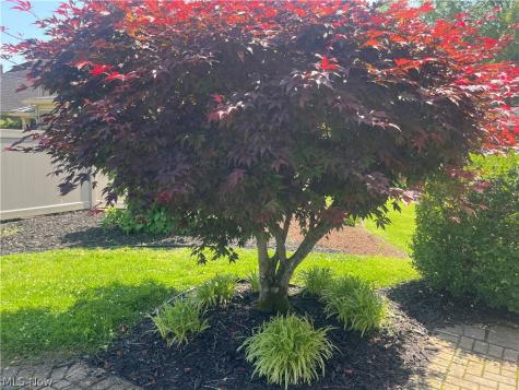 504 Cutler Street Marietta OH 45750