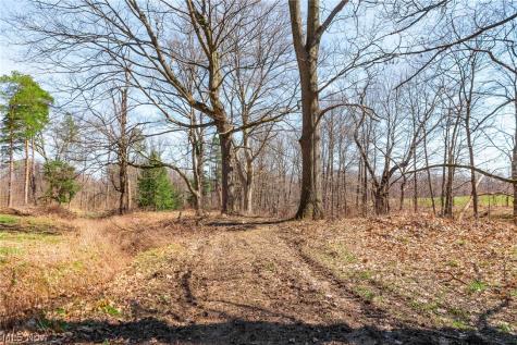 327 Briarhill Drive Rittman OH 44270