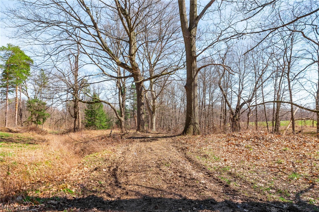 327 Briarhill Drive Rittman OH 44270