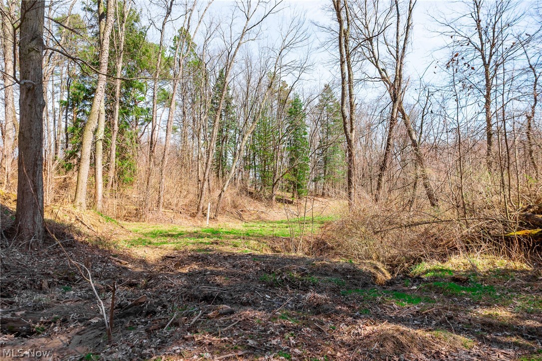 327 Briarhill Drive Rittman OH 44270