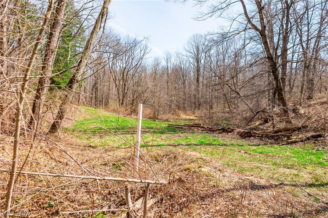 327 Briarhill Drive Rittman OH 44270