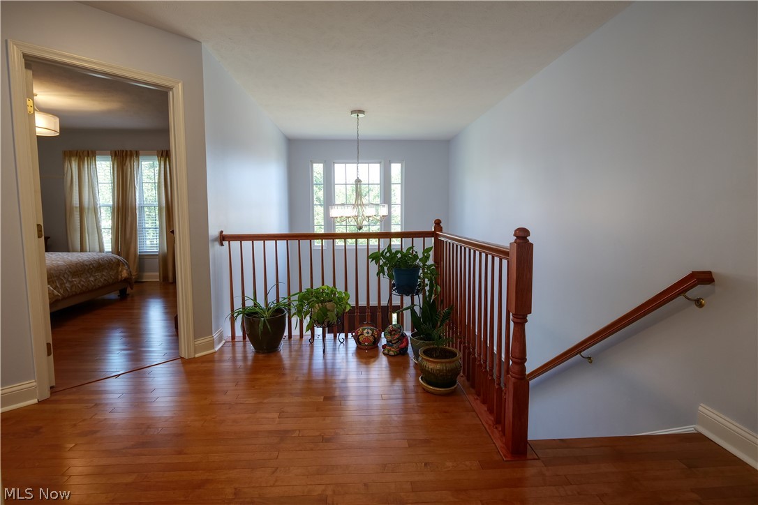 169 Aster Place Brunswick OH 44212