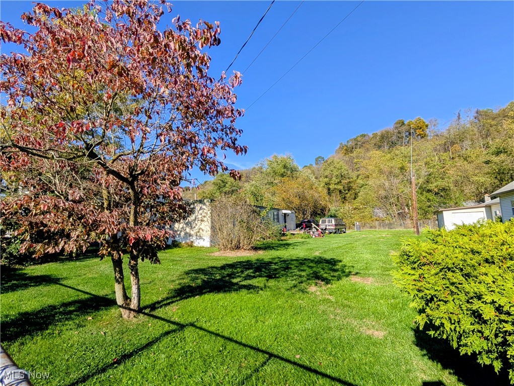 923 Wood Street Wellsville OH 43968