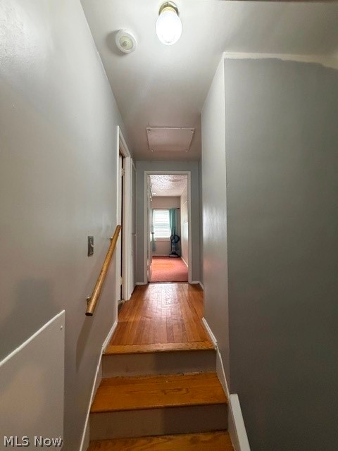 19316 Shakerwood Road Warrensville Heights OH 44122
