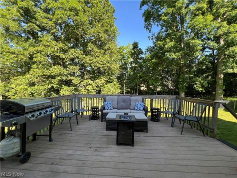 1258 Cherry Lane Brunswick OH 44212