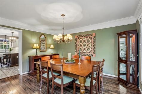 10392 Andover Drive Twinsburg OH 44087