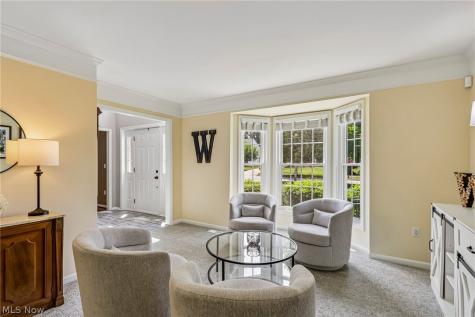 10392 Andover Drive Twinsburg OH 44087