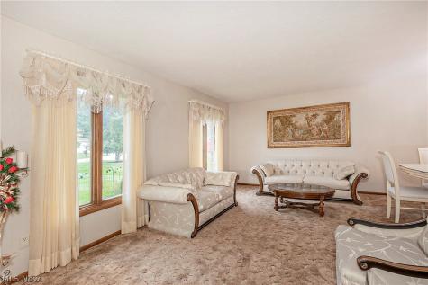7681 Plumwood Lane Seven Hills OH 44131