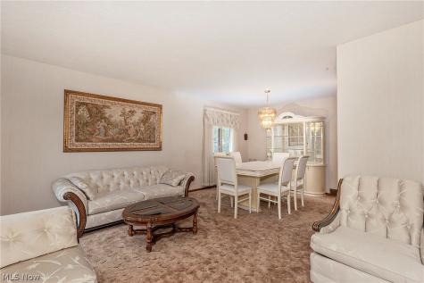 7681 Plumwood Lane Seven Hills OH 44131