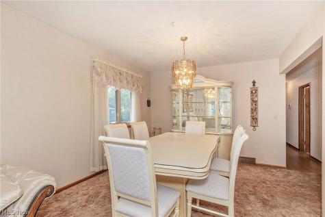 7681 Plumwood Lane Seven Hills OH 44131