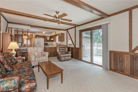 7681 Plumwood Lane Seven Hills OH 44131