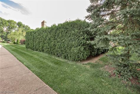 7681 Plumwood Lane Seven Hills OH 44131