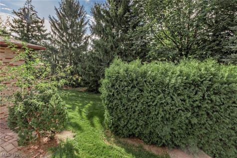7681 Plumwood Lane Seven Hills OH 44131