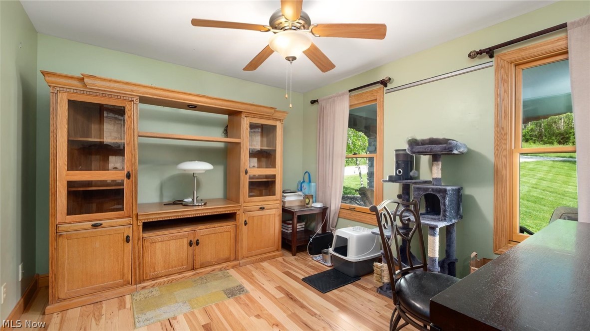 10155 N Morrison Road Dresden OH 43821