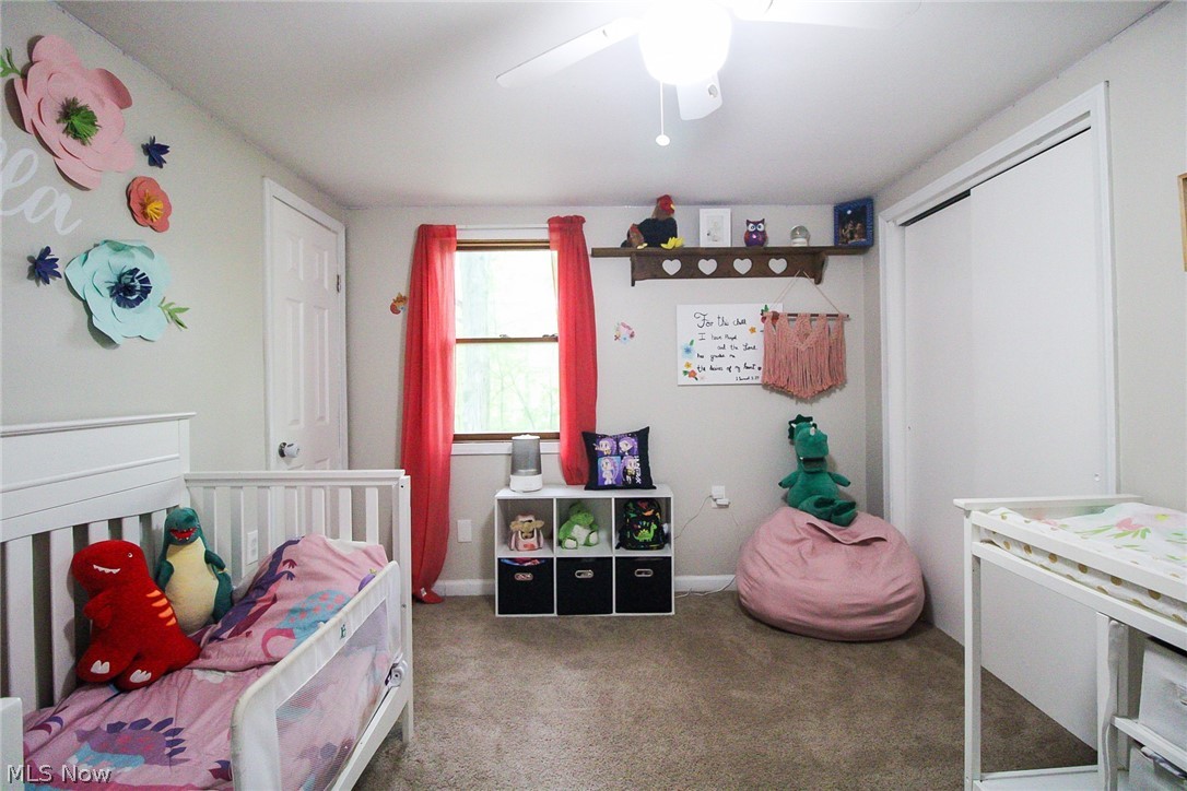 8248 Dawson Drive SE Warren OH 44484