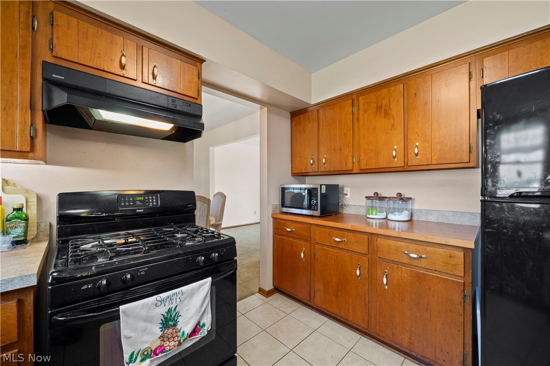 142 Brookvalley Drive Elyria OH 44035