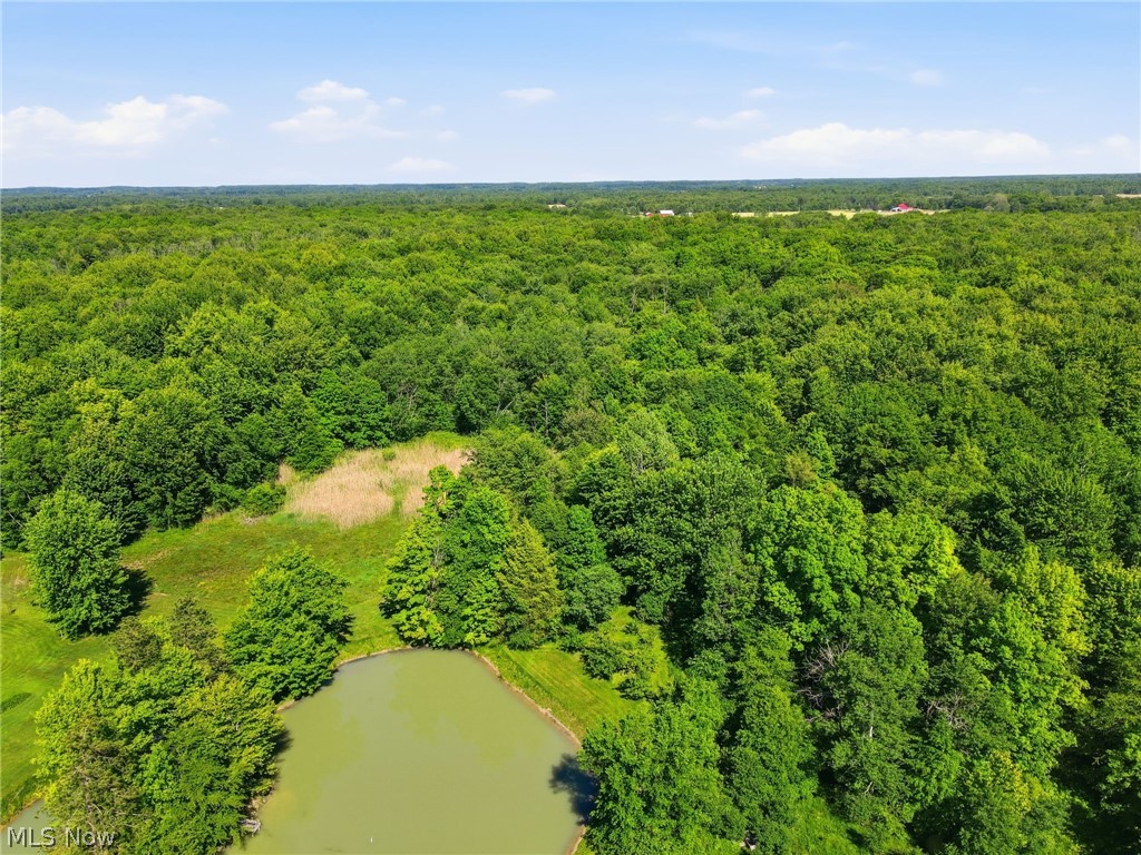 1912 State Route 45 Rock Creek OH 44084