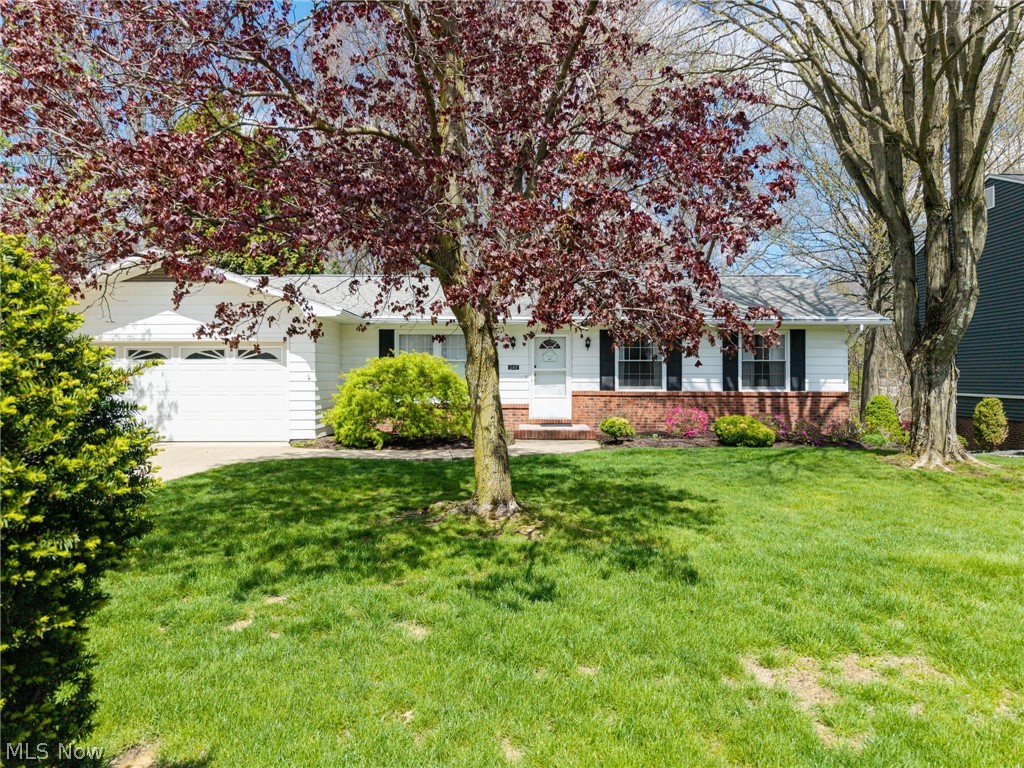 2357 Woodpark Road Akron OH 44333