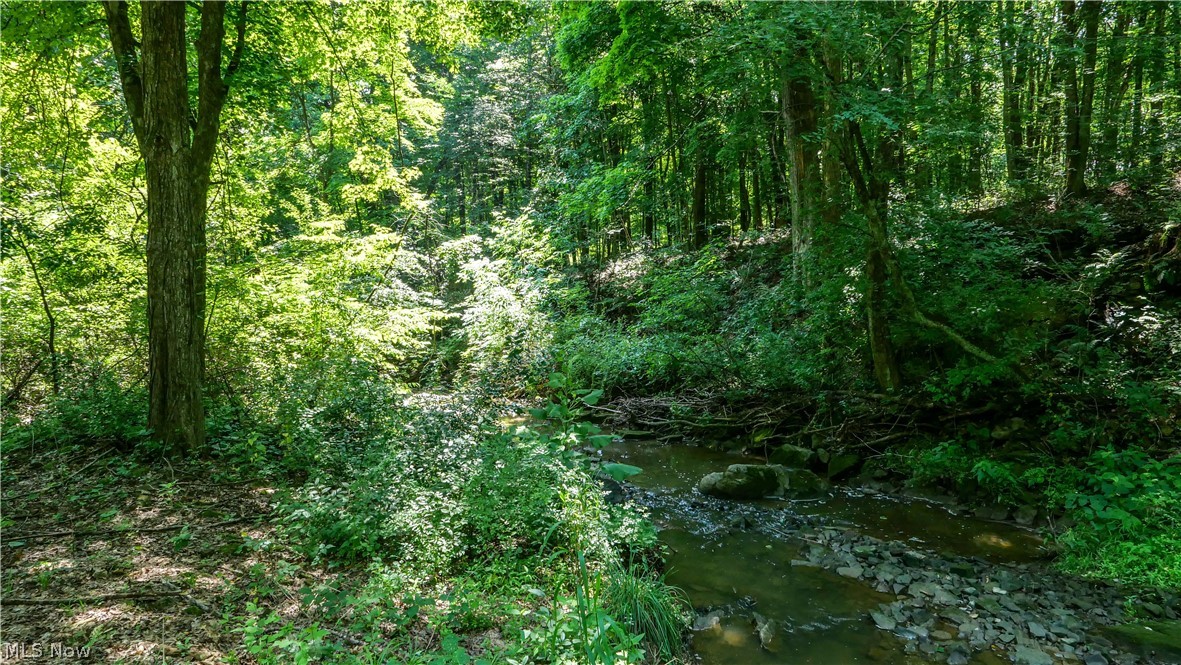 10748 Woodard Road Deerfield OH 44411